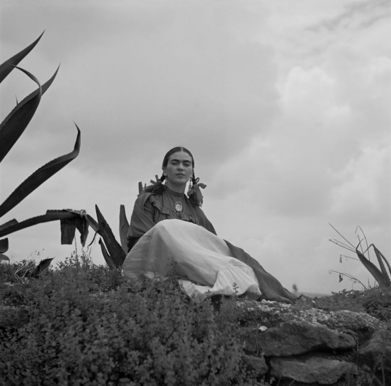 فریدا - Frida 